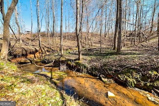 LOT 7 Mayfield Rd, Flovilla, GA 30216