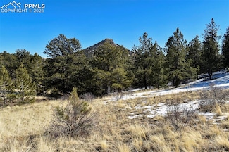 30 Wagonwheel Rd, Guffey, CO 80820