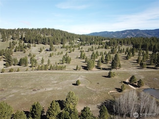 0 Wiehl Rd Unit NWM2387957, Cle Elum, WA 98922