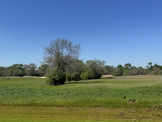 9956 Panther Ridge Dr, Iola, TX 77861