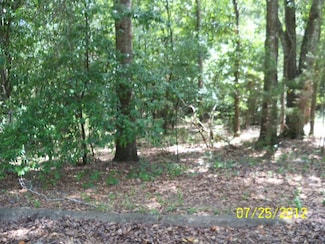 0 Humber Ave, Lumpkin, GA 31815