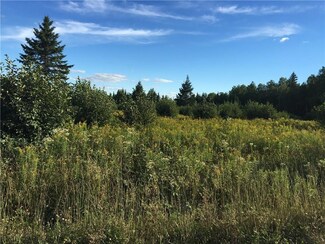 Lot 30c & Rista Rd, New Sweden, ME 04762