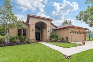 6428 Barcellona Rd, Land O Lakes, FL 34637