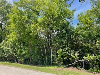 Lot 0 S Pine St, Nunda Township, IL 60051