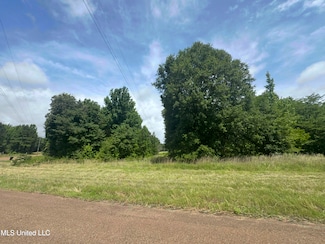 580 Hagan Rd, Coldwater, MS 38618