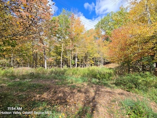 0 Circle Rd, Windham, NY 12496