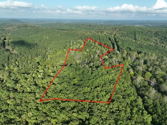 1046 Lancaster Ln, Lynch Station, VA 24571