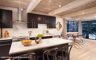 101 E Cooper Ave Unit 202, Aspen, CO 81611