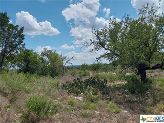 313 Eagle Basin Cir, Spicewood, TX 78669
