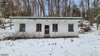 58 Hollow Rd, Glen Gardner, NJ 08826