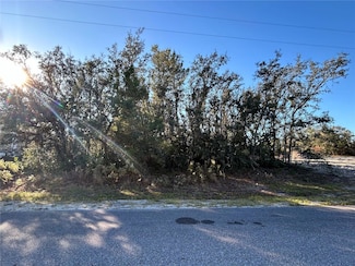0 Amero Ln Unit 13 MFRS5116270, Spring Hill, FL 34609