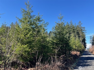 0 Winter Rd, Winlock, WA 98596