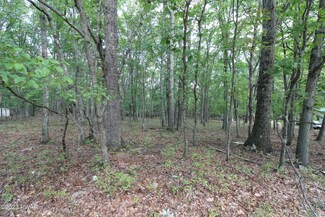 Lot 642 Cloud Crest Dr, Lackawaxen Township, PA 18428