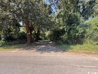 tbd Alston St, Conway, SC 29527