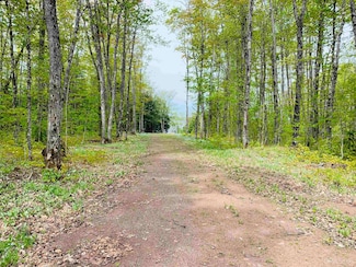 14451 E Shore Rd, Bergland, MI 49910