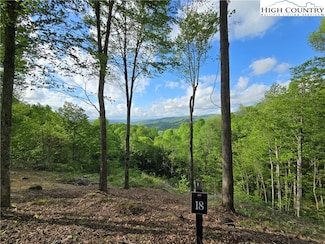 18 Honeysuckle Dr, Elk Park, NC 28622