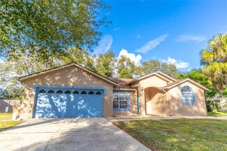 2125 Pekoe Ct, Clermont, FL 34714