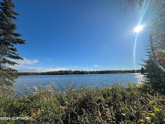 47680 Douglas Ln, Nikiski, AK 99611