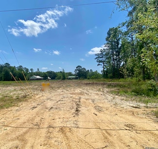 Lot  #1-A-2 Shady Oaks Ln, Prairieville, LA 70769