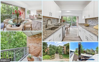 2909 Charing Cross Rd Unit 11, Falls Church, VA 22042