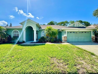 14639 Coral Berry Dr, Tampa, FL 33626