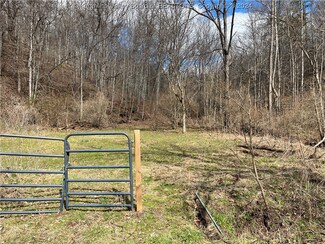 00 Tribble Ridge Rd, Leon, WV 25123