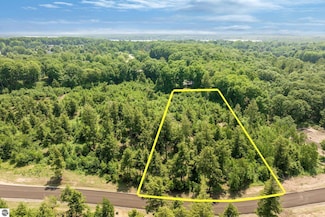 8889 Hemlock Hill Dr Unit 16, Long Lake Township, MI 49685