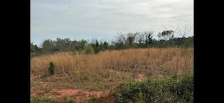 3740 Latigo Rd, Mobile, AL 36695