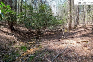 Lot 34 Woodland Valley Rd, Jefferson, NC 28640