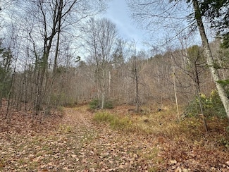 0 W Oxbow Rd Unit 73453651, Charlemont, MA 01339