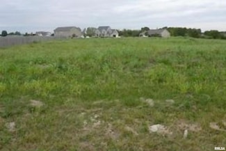 609 Patricia St, Washington, IL 61571