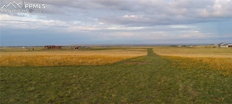 6870 Cowboy Ranch View, Peyton, CO 80831