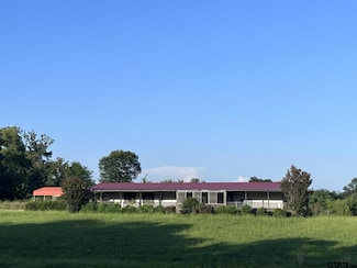 2092 Fm 21, Pittsburg, TX 75686