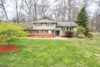 20 Brooklawn Dr, Morris Plains, NJ 07950