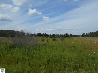 0 W Maple Ridge Rd, Twining, MI 48766