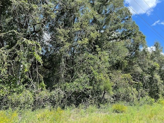 0 U S 19, Chiefland, FL 32626
