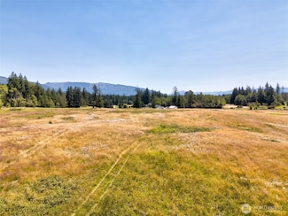 0 Colony Rd Unit NWM2405897, Bow, WA 98232