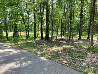 X Dover Ln, Madison, MS 39110