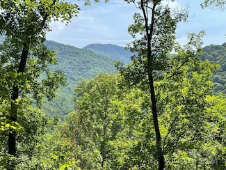 Lt 241 Down the Hill Rd Unit 241, Sylva, NC 28779