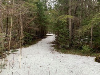 0 Daisy Ln Unit 42 Acres 323297, Maple Ridge Township, MI 49707