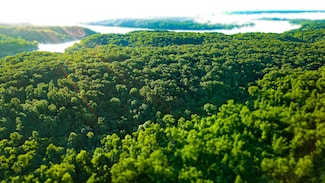 Tbd Sandy Rd, Cross Timbers Township, MO 65326