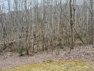 Lot 8 English Setter Trail, Whittier, NC 28789