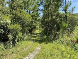 550 W River Rd, Palatka, FL 32177