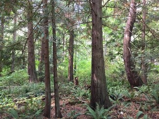 Lot 15 Park Dr, Point Roberts, WA 98281