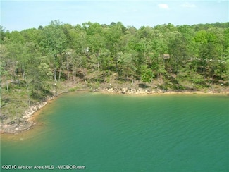 LOT # 52 Osprev Ave, Arley, AL 35541