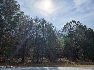 Lot 2 Momeyer Way, Momeyer, NC 27856