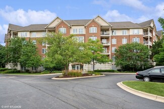 640 Robert York Ave Unit 201, Deerfield, IL 60015