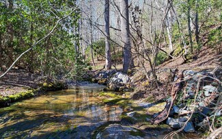 LOT10 Williams Branch Dr, Morganton, GA 30560