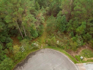 1211 Red Buckeye Ct, Moncks Corner, SC 29461