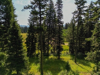 4625 Williams Creek Loop Unit 96, McCall, ID 83638